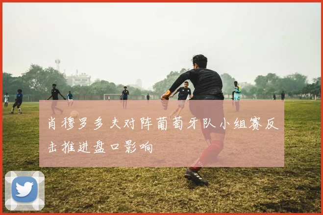 肖穆罗多夫对阵葡萄牙队小组赛反击推进盘口影响