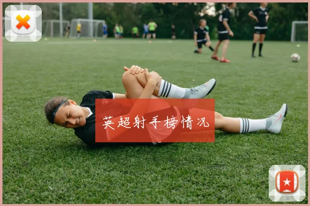 英超射手榜情况